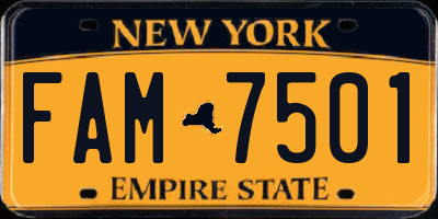 NY license plate FAM7501