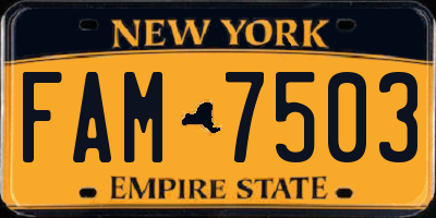 NY license plate FAM7503