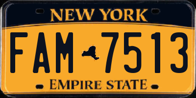 NY license plate FAM7513