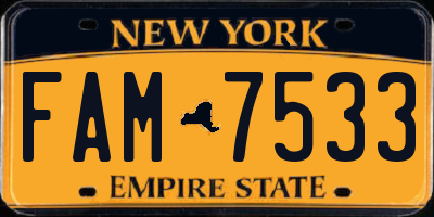 NY license plate FAM7533