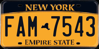 NY license plate FAM7543