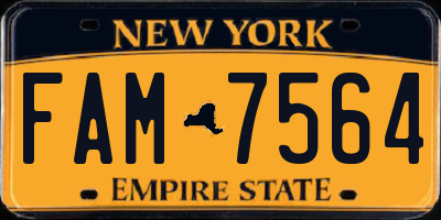 NY license plate FAM7564