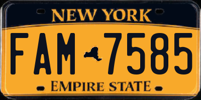 NY license plate FAM7585
