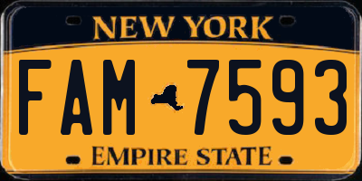 NY license plate FAM7593