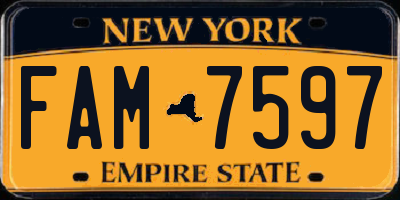 NY license plate FAM7597
