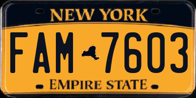 NY license plate FAM7603