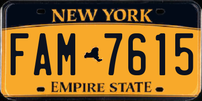 NY license plate FAM7615
