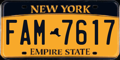 NY license plate FAM7617
