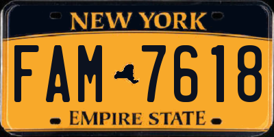 NY license plate FAM7618