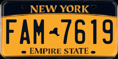NY license plate FAM7619