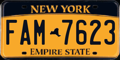 NY license plate FAM7623