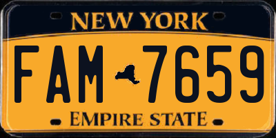 NY license plate FAM7659