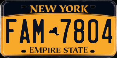 NY license plate FAM7804