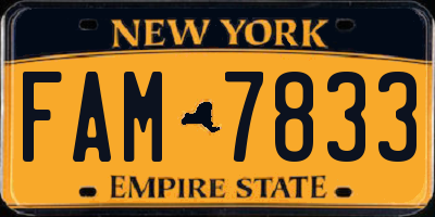 NY license plate FAM7833