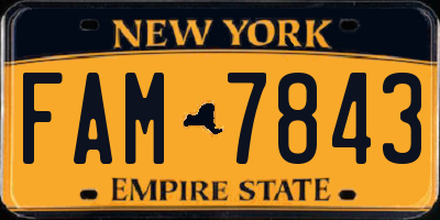NY license plate FAM7843