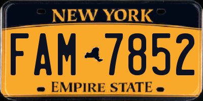 NY license plate FAM7852