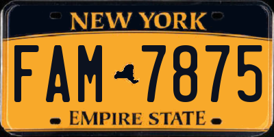 NY license plate FAM7875