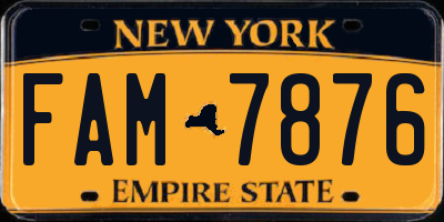 NY license plate FAM7876