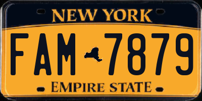 NY license plate FAM7879