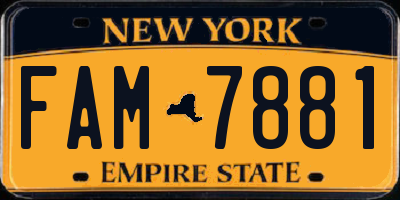 NY license plate FAM7881