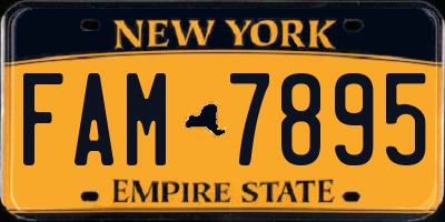 NY license plate FAM7895