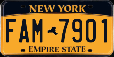 NY license plate FAM7901