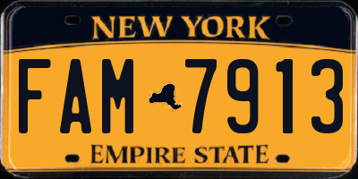 NY license plate FAM7913