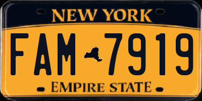 NY license plate FAM7919