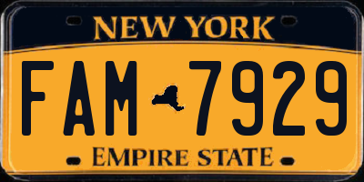 NY license plate FAM7929