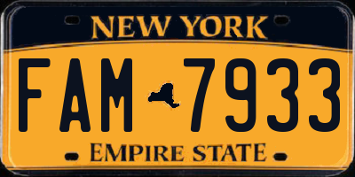 NY license plate FAM7933