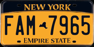 NY license plate FAM7965