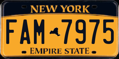 NY license plate FAM7975