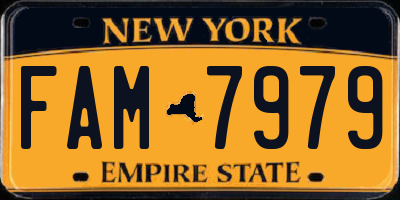 NY license plate FAM7979