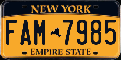 NY license plate FAM7985