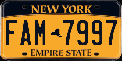 NY license plate FAM7997