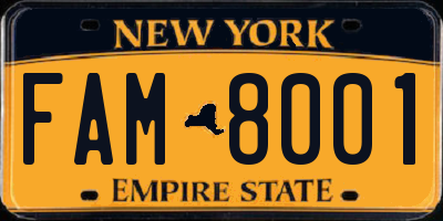 NY license plate FAM8001