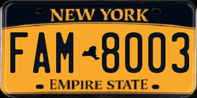NY license plate FAM8003