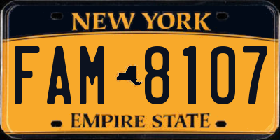 NY license plate FAM8107