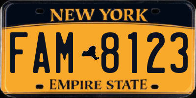 NY license plate FAM8123