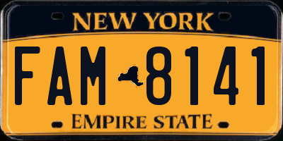 NY license plate FAM8141