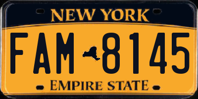 NY license plate FAM8145