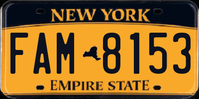 NY license plate FAM8153