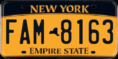 NY license plate FAM8163