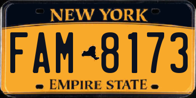 NY license plate FAM8173