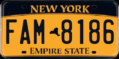 NY license plate FAM8186