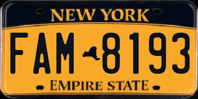 NY license plate FAM8193