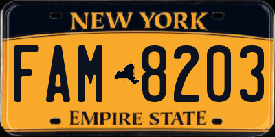 NY license plate FAM8203