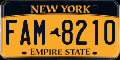 NY license plate FAM8210