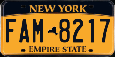 NY license plate FAM8217