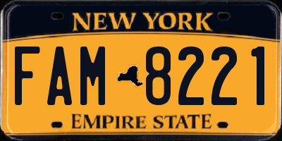 NY license plate FAM8221
